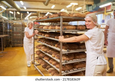 Baker women team pushes tray trolley with ready-baked bread in the large bakery