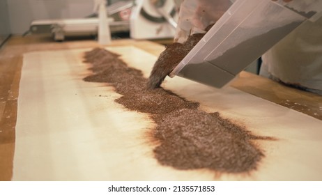 Baker Working With Handmade Pastries In Small Bakery. Cocoa Snail Roll, Chocolate Roll. Closeup Photo Of Not Staged, Authentic Moment.