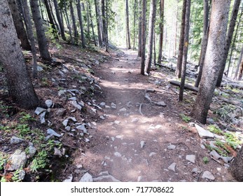 Baker's Tank Mountain Biking Trail In Breckenridge, Colorado