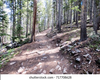 Baker's Tank Mountain Biking Trail In Breckenridge, Colorado