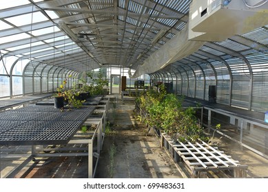 BAKERSFIELD, CA - AUGUST 19, 2017: The Greenhouse On The Campus Of California State University, Bakersfield, Provides Controlled Temperature And Humidity For Plants And Student Projects.