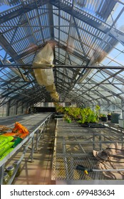 BAKERSFIELD, CA - AUGUST 19, 2017: The Greenhouse On The Campus Of California State University, Bakersfield, Provides Controlled Temperature And Humidity For Plants And Student Projects.