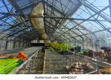 BAKERSFIELD, CA - AUGUST 19, 2017: The Greenhouse On The Campus Of California State University, Bakersfield, Provides Controlled Temperature And Humidity For Plants And Student Projects.