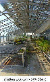 BAKERSFIELD, CA - AUGUST 19, 2017: The Greenhouse On The Campus Of California State University, Bakersfield, Provides Controlled Temperature And Humidity For Plants And Student Projects.