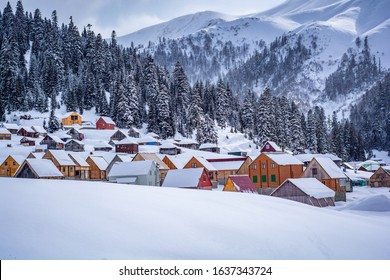 Bakhmaro in winter, Guria, Georgia. White nature of winter resort Bakhmaro in country Georgia. Amazing and beautiful snowy nature with colorful wood houses.