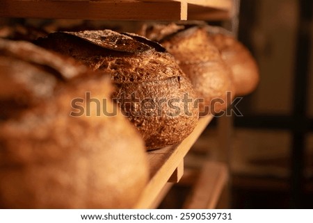 Baking bread in an artisanal bakery