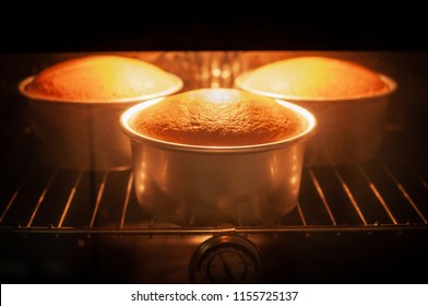 Baking Cake In Oven With Thermometer