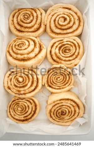 Similar – Image, Stock Photo Homemade Cocoa Rolls Bread