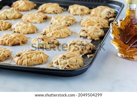 A baking sheet full of maple pecan cookies fresh out of the oven with a bottle of maple syrup on the side.