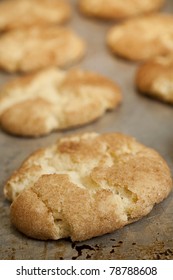 Baking Snickerdoodle Cookies