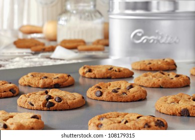 Baking still life of freshly baked chocolate chips cookies on non-stick cookie sheet with canisters, cooling rack and baking supplies in background.  Closeup with shallow dof.