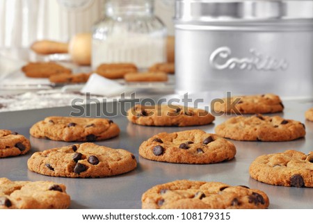 Baking still life of freshly baked chocolate chips cookies on non-stick cookie sheet with canisters, cooling rack and baking supplies in background.  Closeup with shallow dof.