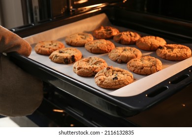 Baking tray with tasty homemade cookies taking out from oven - Shutterstock ID 2116132835