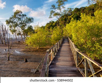 Bako National Park, Borneo, Malaysia