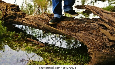Balance