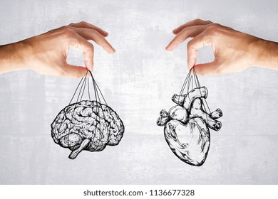 balance your life, logic and feel concept with heart and brain in hands at grey background.  - Powered by Shutterstock