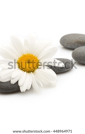 Similar – Stones in a Zen garden