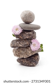 A balanced stack of natural pebbles decorated with delicate pink chrysanthemum flowers, isolated on a white background.