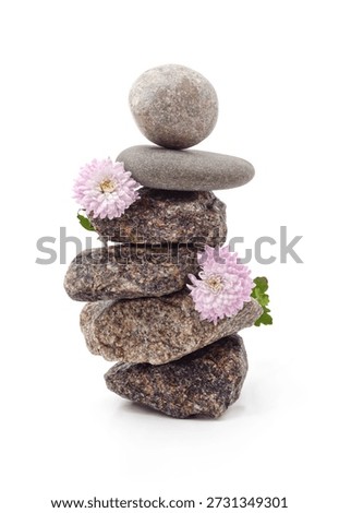 A balanced stack of natural pebbles decorated with delicate pink chrysanthemum flowers, isolated on a white background.