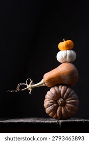 Balanced stack of pumpkins and pear squash on dark minimalist background. Artistic autumn still life with gourds and dramatic seasonal mood