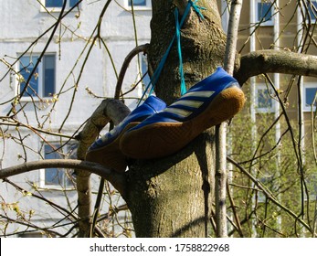 Balashikha, Russia - April 26, 2020. Adidas Soccer Cleats Hanging On A Tree.       