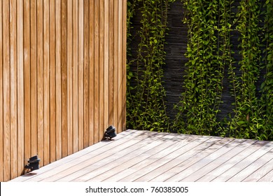 The Balcony Corner Of Wooden Wall And Plant Ivy Wall In The Garden 