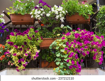 7,714 Mediterranean plants balcony Images, Stock Photos & Vectors ...