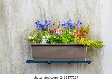 balcony flowers. Outdoor plants, window and street landscaping. - Powered by Shutterstock