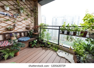 Balcony Garden With Seating Plant View