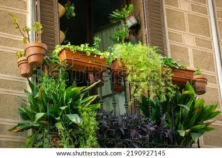 A balcony window with a huge number of mix potted green plants. Fresh flowers decorate exterior of apartment building, facade of apartment house in summer. Home garden. Planting plant-pots on terrace.