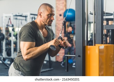 Bald Caucasian Well-built Big Guy Focusing On Exercise. Man Holding A Grip Of A Machine For Pumping Back Muscles. High Quality Photo