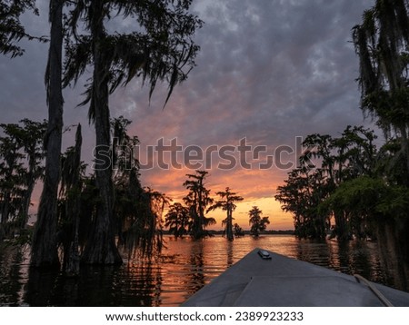 Bald cypress trees in Lake Martin, a Louisana bayou swamp with a boat hull in the foreground. Photographed with a dramatic sunset in the background.