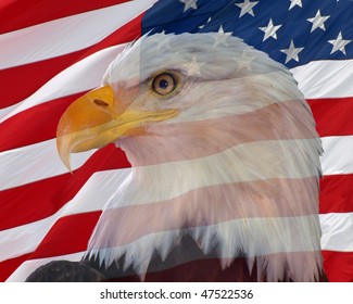Bald Eagle with an American Flag backdrop