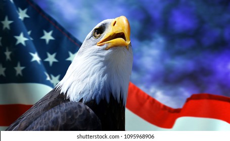 20,266 Eagle background flag Images, Stock Photos & Vectors | Shutterstock