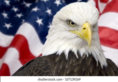 289 Eagle flag talon Images, Stock Photos & Vectors | Shutterstock