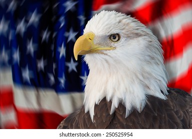 225 Eagle Soaring With American Flag Images, Stock Photos & Vectors ...