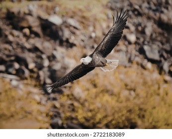 A bald eagle in flight, with its wings spread wide, gliding over a rugged landscape filled with rocks and sparse vegetation.