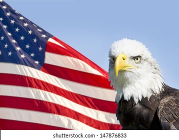 Similar Images, Stock Photos & Vectors of American Bald Eagle - symbol ...