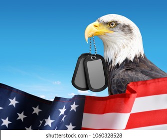 Veterans Day Eagle Stock Photos Images Photography Shutterstock