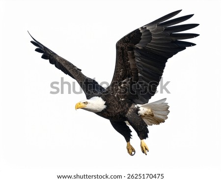 A bald eagle in midflight, wings fully extended against a white background. Its white head and yellow beak are clearly visible. The powerful bird is captured midsoar.