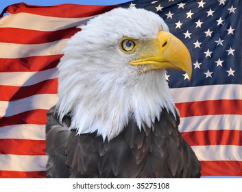 Thin Blue Line American Flag Bald Stock Photo (Edit Now) 455083288