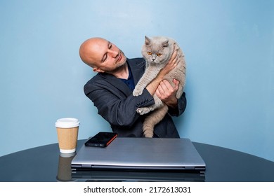 Bald Handsome Man Holding British Shorthair Chubby Cat In His Hands. Computer And Cup Of Coffee On A Table. Blue Color Wall Background. Working At Home Concept. Male Model In His 40s In Grey Suit.