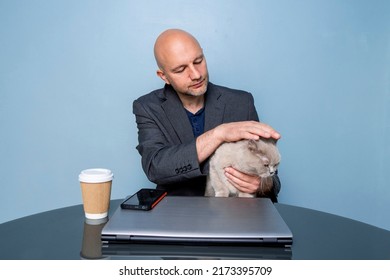 Bald Handsome Man Holding British Shorthair Chubby Cat In His Hands. Computer And Cup Of Coffee On A Table. Blue Color Wall Background. Working At Home Concept. Male Model In His 40s In Grey Suit.