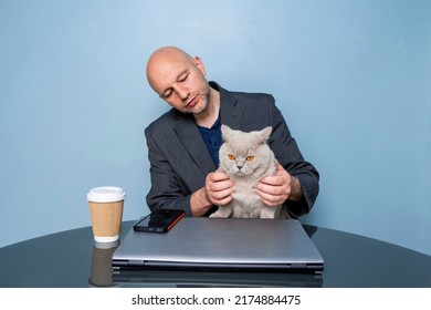 Bald Handsome Man Holding British Shorthair Chubby Cat In His Hands. Computer And Cup Of Coffee On A Table. Blue Color Wall Background. Working At Home Concept. Male Model In His 40s In Grey Suit.