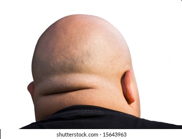 bald head isolated with clipping path