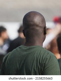 Bald head of a man. View from the back of the head