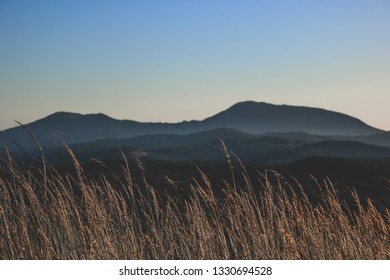 Bald Hill In Corvallis, Oregon