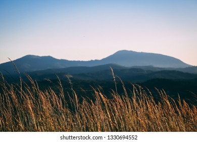 Bald Hill In Corvallis, Oregon