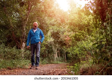 Bald Man Walking On A Small Path In A Park, Warm Sunny Day. Male Dressed In Jeans And Blue Outdoor Jacket. Healthy Habit Concept