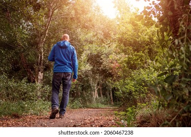 Bald Man Walking On A Small Path In A Park, Warm Sunny Day. Male Dressed In Jeans And Blue Outdoor Jacket. Healthy Habit Concept